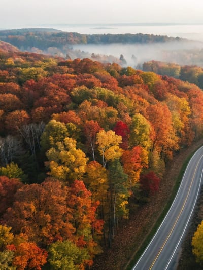 autumn-road-through-colorful-forest-with-morning-f-2026-03-27-02-04-26-utc